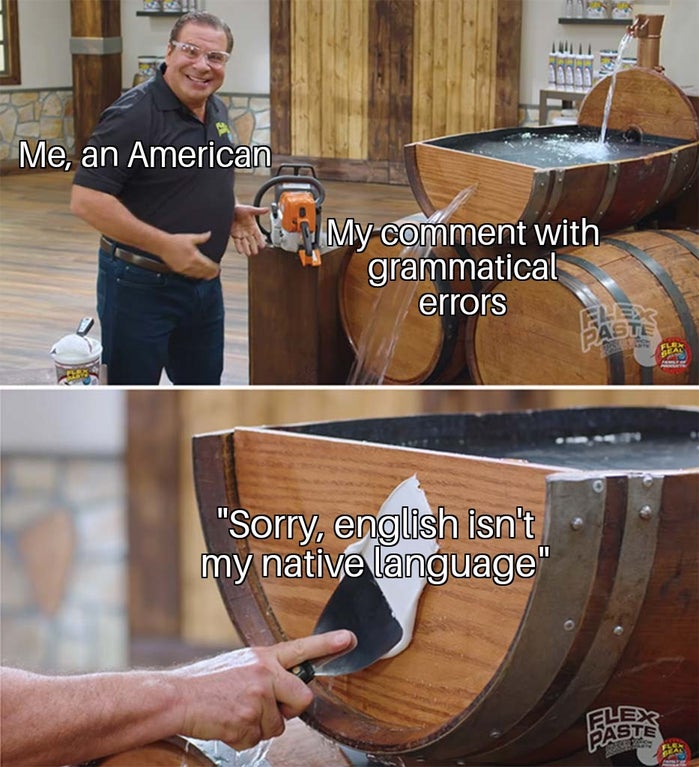 flex seal paste meme - Aaaa Me, an American My comment with grammatical errors Elle Te "Sorry, english isn't my native language" Paste