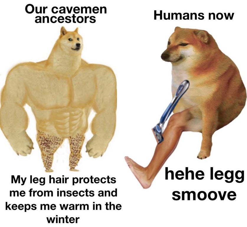 Our cavemen ancestors Humans now 3 My leg hair protects me from insects and keeps me warm in the winter hehe legg smoove