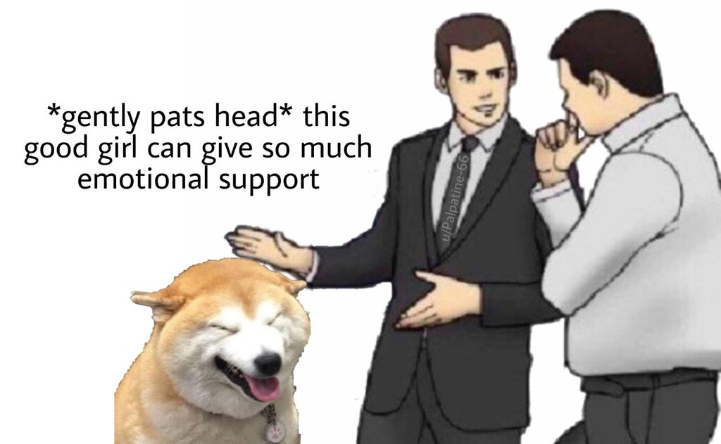 front end developer meme - gently pats head this good girl can give so much emotional support