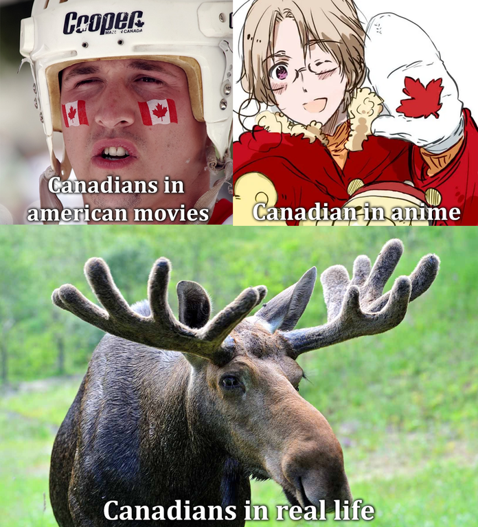 Cooper Canadians in american movies Canadian in anime No Canadians in real life
