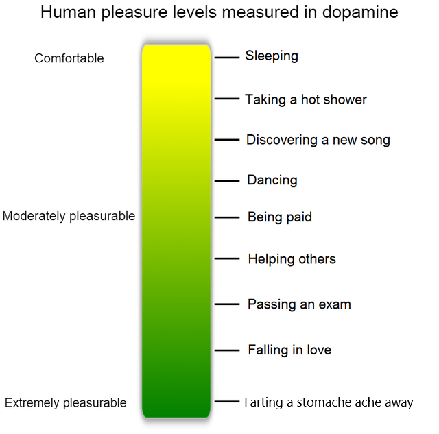 diagram - Human pleasure levels measured in dopamine Comfortable Sleeping Taking a hot shower Discovering a new song Dancing Moderately pleasurable Being paid Helping others Passing an exam Falling in love Extremely pleasurable Farting a stomache ache awa
