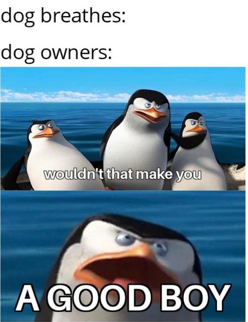 wouldn t that make you meme template - dog breathes dog owners wouldn't that make you A Good Boy