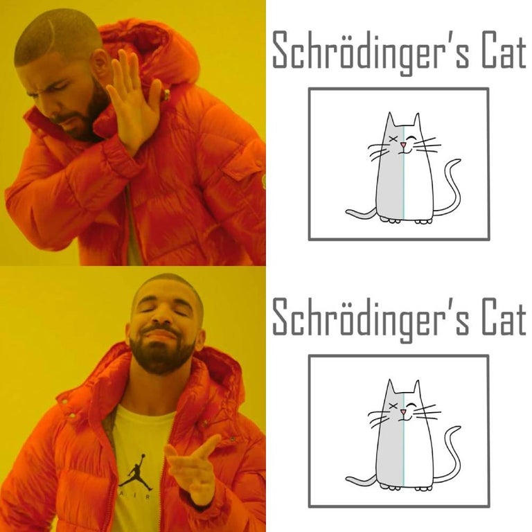 hotline bling drake - Schrdinger's Cat We Schrdinger's Cat