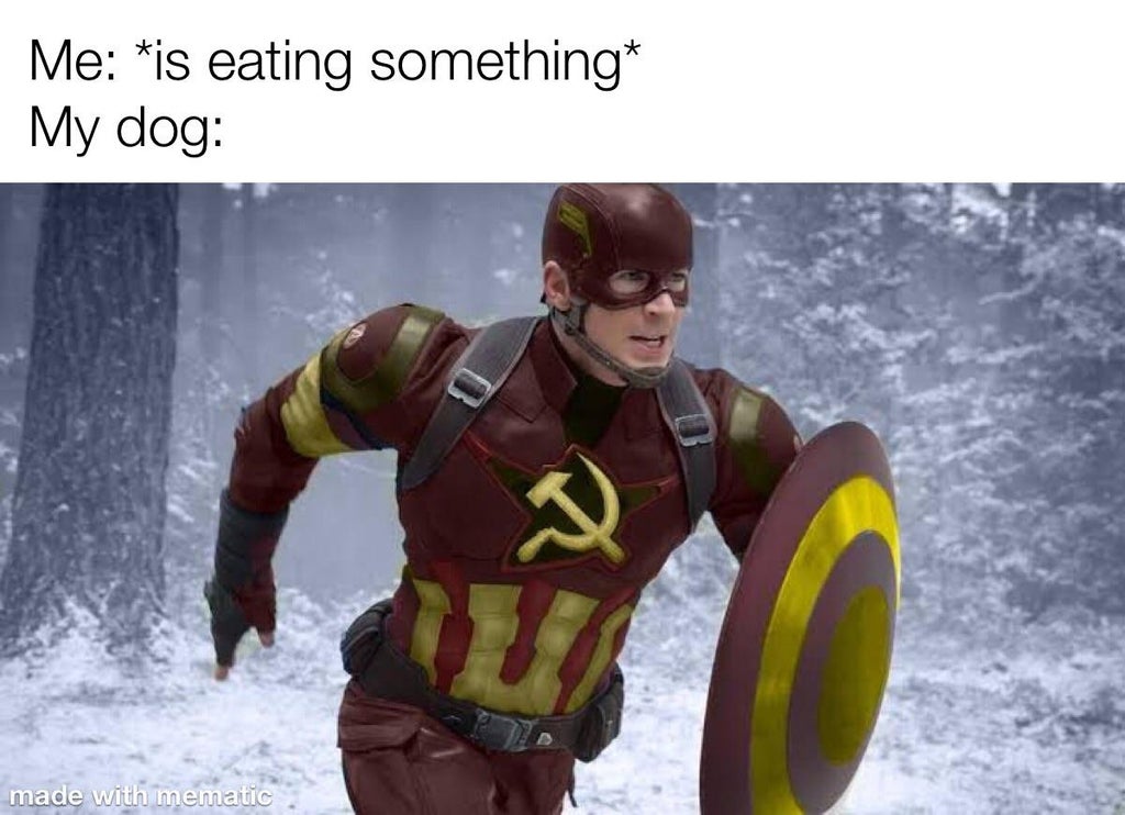 captain america superhero - Me is eating something My dog R made with mematic