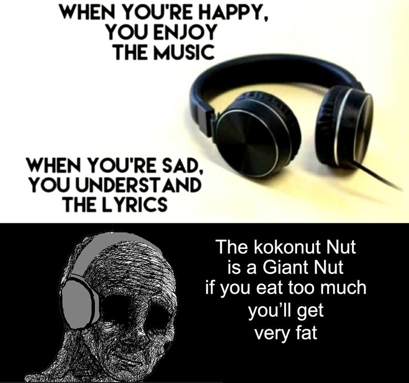 headphones - When You'Re Happy, You Enjoy The Music When You'Re Sad, You Understand The Lyrics The kokonut Nut is a Giant Nut if you eat too much you'll get Very fat