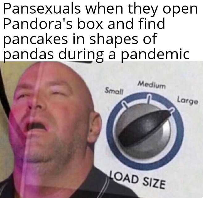 welcome to fabulous las vegas sign - Pansexuals when they open Pandora's box and find pancakes in shapes of pandas during a pandemic Medium Small Large Load Size