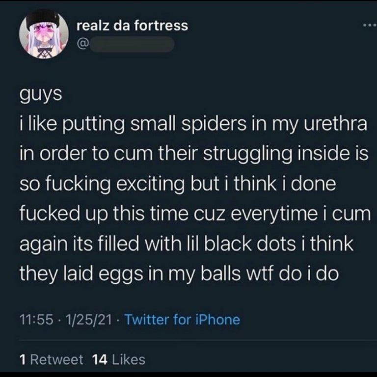 atmosphere - realz da fortress guys i putting small spiders in my urethra in order to cum their struggling inside is so fucking exciting but i think i done fucked up this time cuz everytime i cum again its filled with lil black dots i think they laid eggs