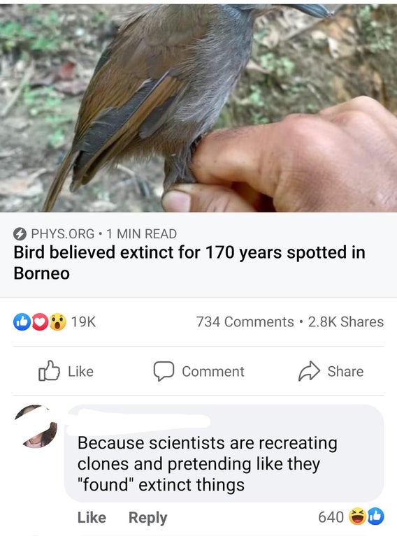 black browed babbler - Phys.Org 1 Min Read Bird believed extinct for 170 years spotted in Borneo 19K 734 . Comment Because scientists are recreating clones and pretending they "found" extinct things 640