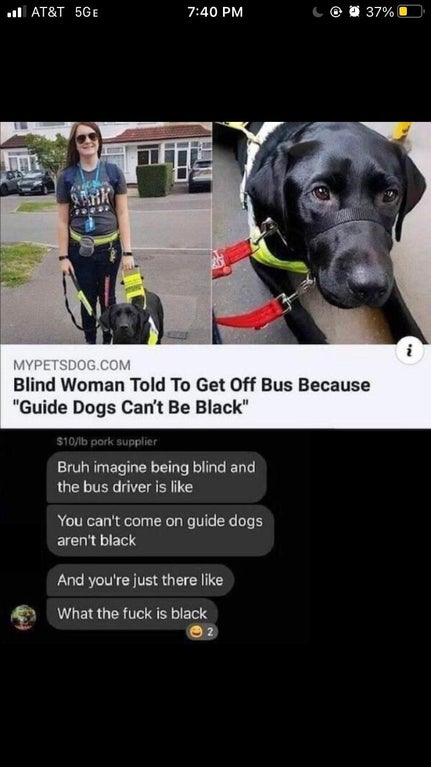 guide dogs can t be black - . At&T 5GE 37% Ark Mypetsdog.Com Blind Woman Told To Get Off Bus Because "Guide Dogs Can't Be Black" $10lb pork supplier Bruh imagine being blind and the bus driver is You can't come on guide dogs aren't black And you're just t