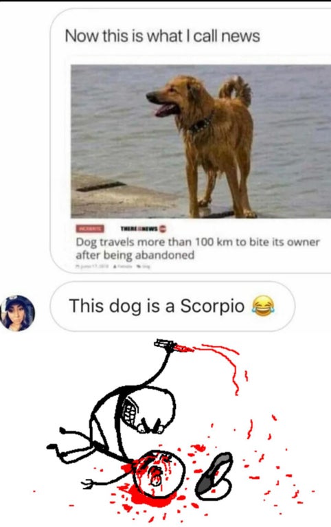 danganronpa fans - Now this is what I call news Dog travels more than 100 km to bite its owner after being abandoned This dog is a Scorpio