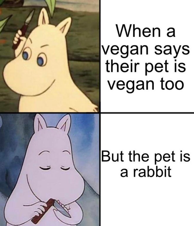 Internet meme - When a vegan says their pet is vegan too But the pet is a rabbit