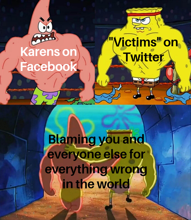 cartoon - Karens on Facebook "Victims" on Twitter Blaming you and everyone else for everything wrong in the world