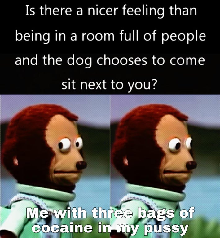 we were too young to notice memes - Is there a nicer feeling than being in a room full of people and the dog chooses to come sit next to you? Me with three bags of cocaine in my pussy