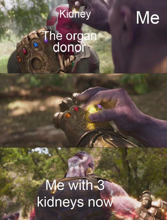 thanos takes stone from vision - Kidney Me The organ donor Me with 3 kidneys now