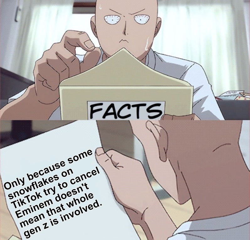 saitama meme - Facts Only because some snowflakes on TikTok try to cancel Eminem doesn't mean that whole gen z is involved.