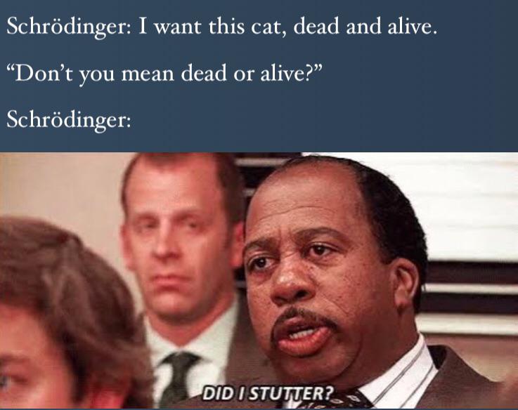 did i stutter meme - Schrdinger I want this cat, dead and alive. Don't you mean dead or alive? Schrdinger Did I Stutter?