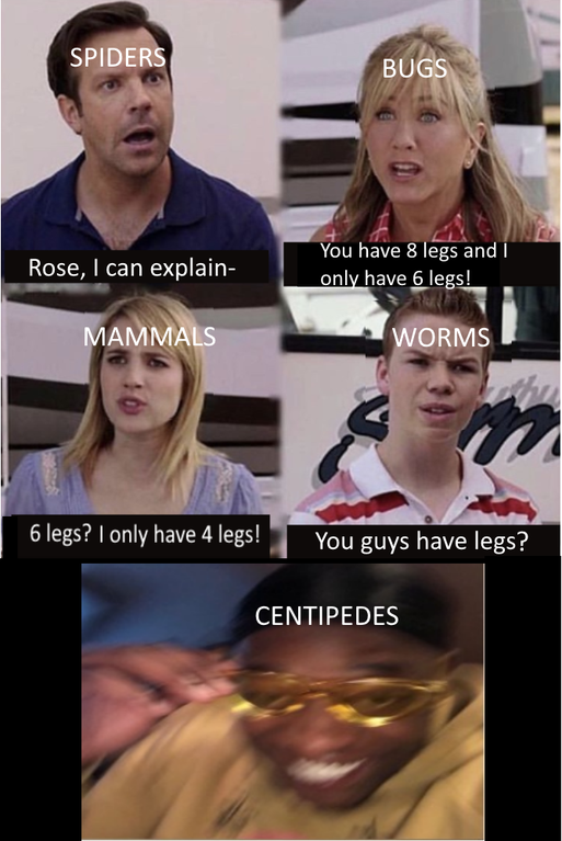 science memes - Spiders Bugs Rose, I can explain You have 8 legs and I only have 6 legs! Worms Mammals 6 legs? I only have 4 legs! You guys have legs? Centipedes
