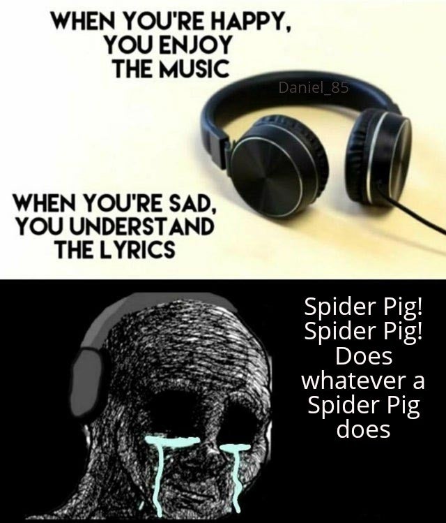 Internet meme - When You'Re Happy, You Enjoy The Music Daniel_85 When You'Re Sad, You Understand The Lyrics Spider Pig! Spider Pig! Does whatever a Spider Pig does