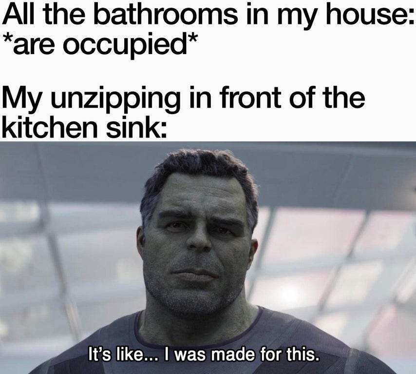 photo caption - All the bathrooms in my house are occupied My unzipping in front of the kitchen sink It's ... I was made for this.