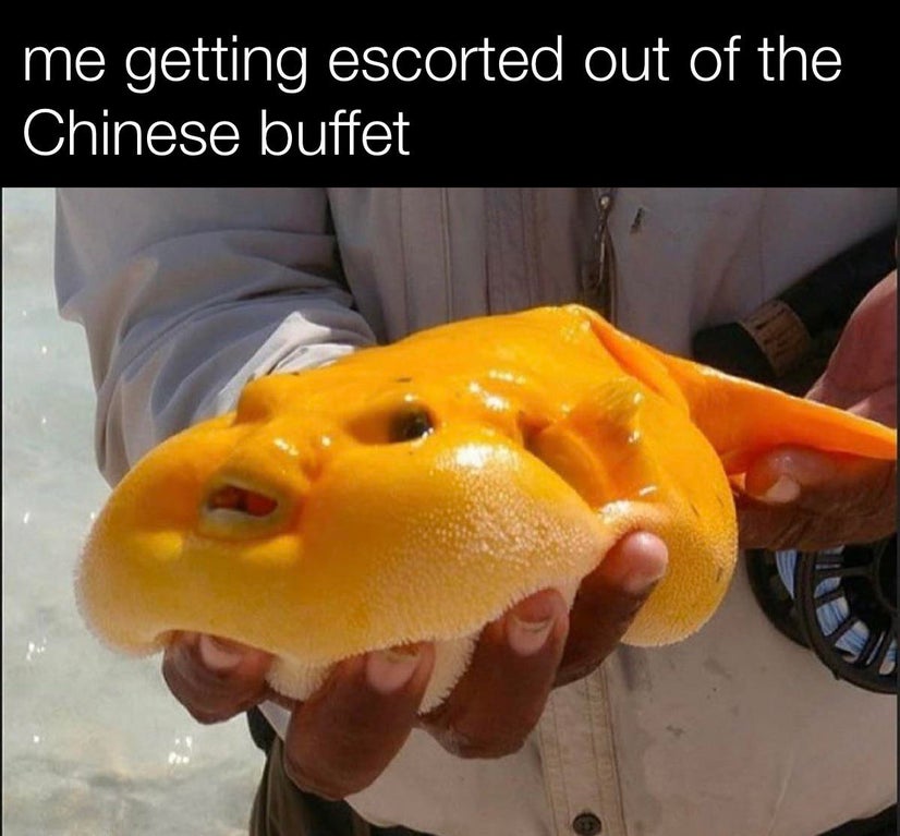 blobfish memes clean - me getting escorted out of the Chinese buffet