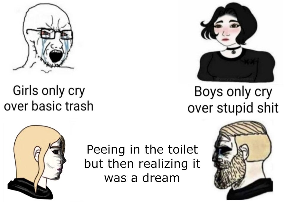Internet meme - Girls only cry over basic trash Boys only cry over stupid shit Peeing in the toilet but then realizing it was a dream