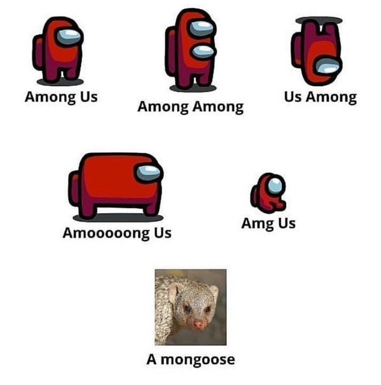 among us mongoose meme - 0 Among Us Us Among Among Among Amg Us Amooooong Us A mongoose