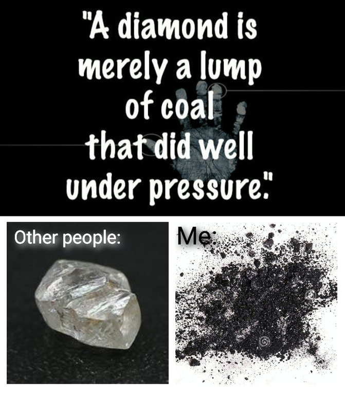 mineral - "A diamond is merely a lump of coal that did well under pressure" Other people Me