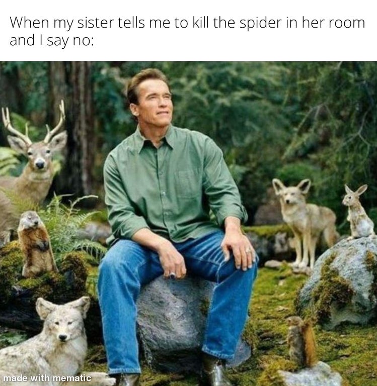 animal whisperer meme - When my sister tells me to kill the spider in her room and I say no made with mematic