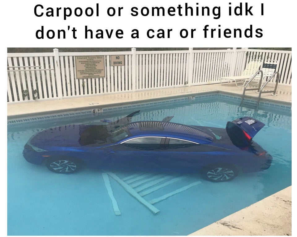 funny memes -- Carpool or something idk i don't have a car or friends
