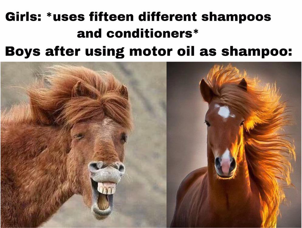 funny memes - Girls uses fifteen different shampoos and conditioners Boys after using motor oil as shampoo