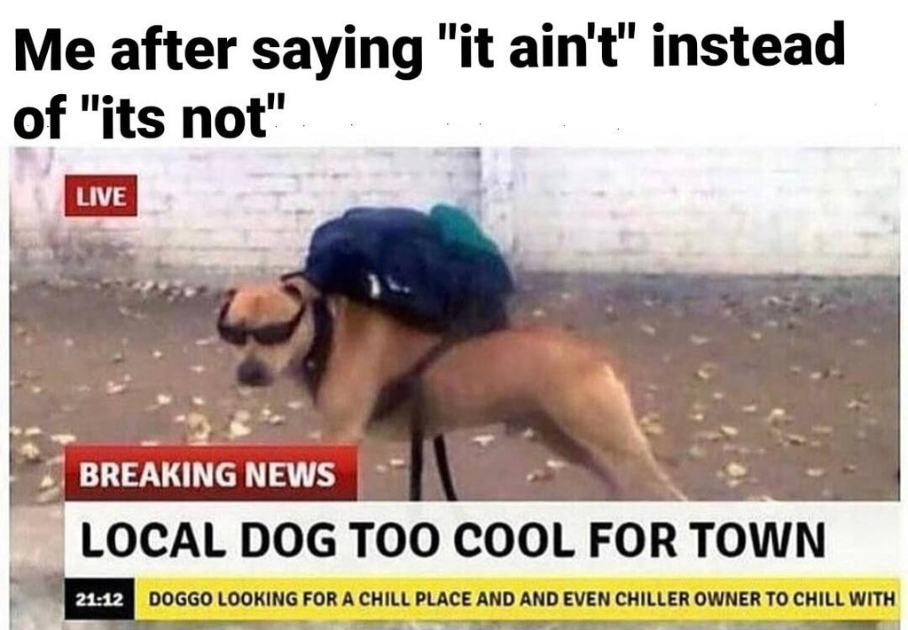 funny memes - local dog too cool for town meme - Me after saying it ain't instead of it's not