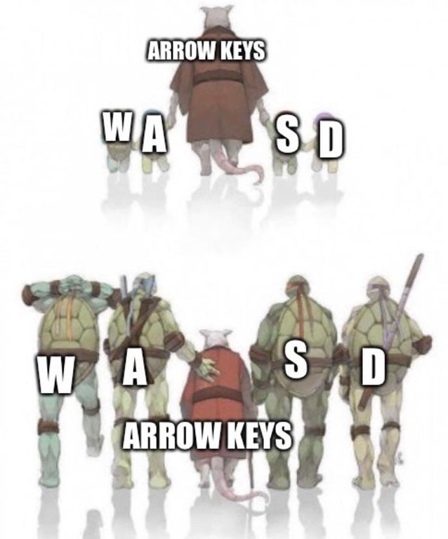 autocad meme ninja turtle - Arrow Keys Wa Sd Wa S D Arrow Keys