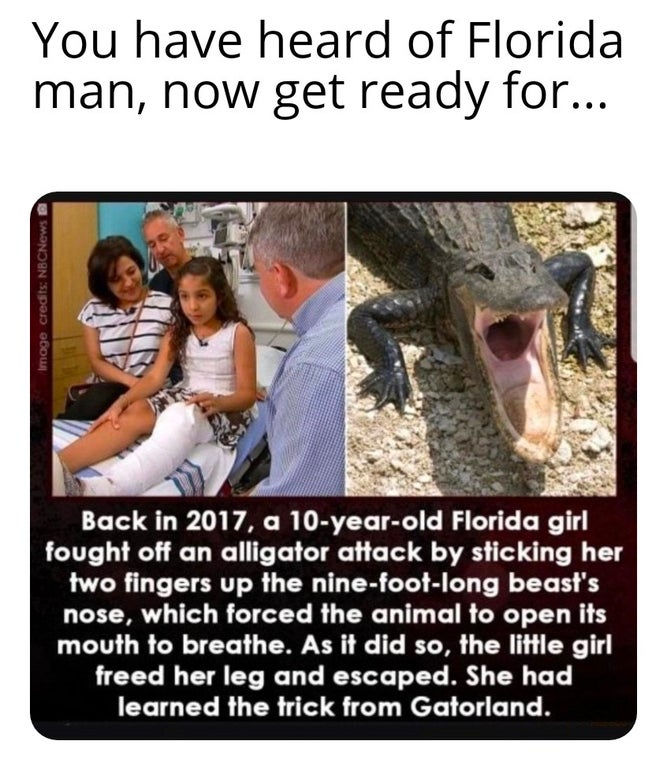 photo caption - You have heard of Florida man, now get ready for... Image credits NBCNews Back in 2017, a 10yearold Florida girl fought off an alligator attack by sticking her two fingers up the ninefootlong beast's nose, which forced the animal to open i