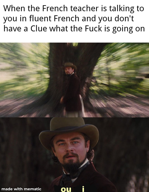 you will meme leonardo dicaprio - When the French teacher is talking to you in fluent French and you don't have a Clue what the Fuck is going on made with mematic ou