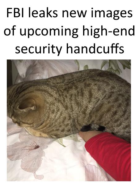 cat - Fbi leaks new images of upcoming highend security handcuffs