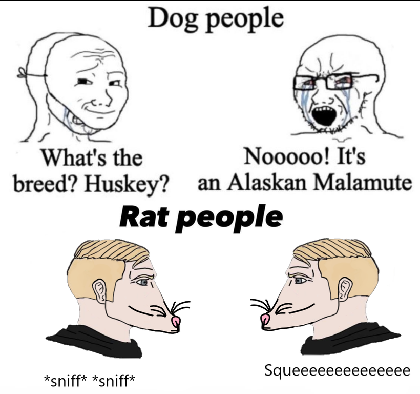 dog owners vs cat owners breed meme - Dog people What's the Nooooo! It's breed? Huskey? an Alaskan Malamute Rat people sniff sniff Squeeeeeeeeeeeeee
