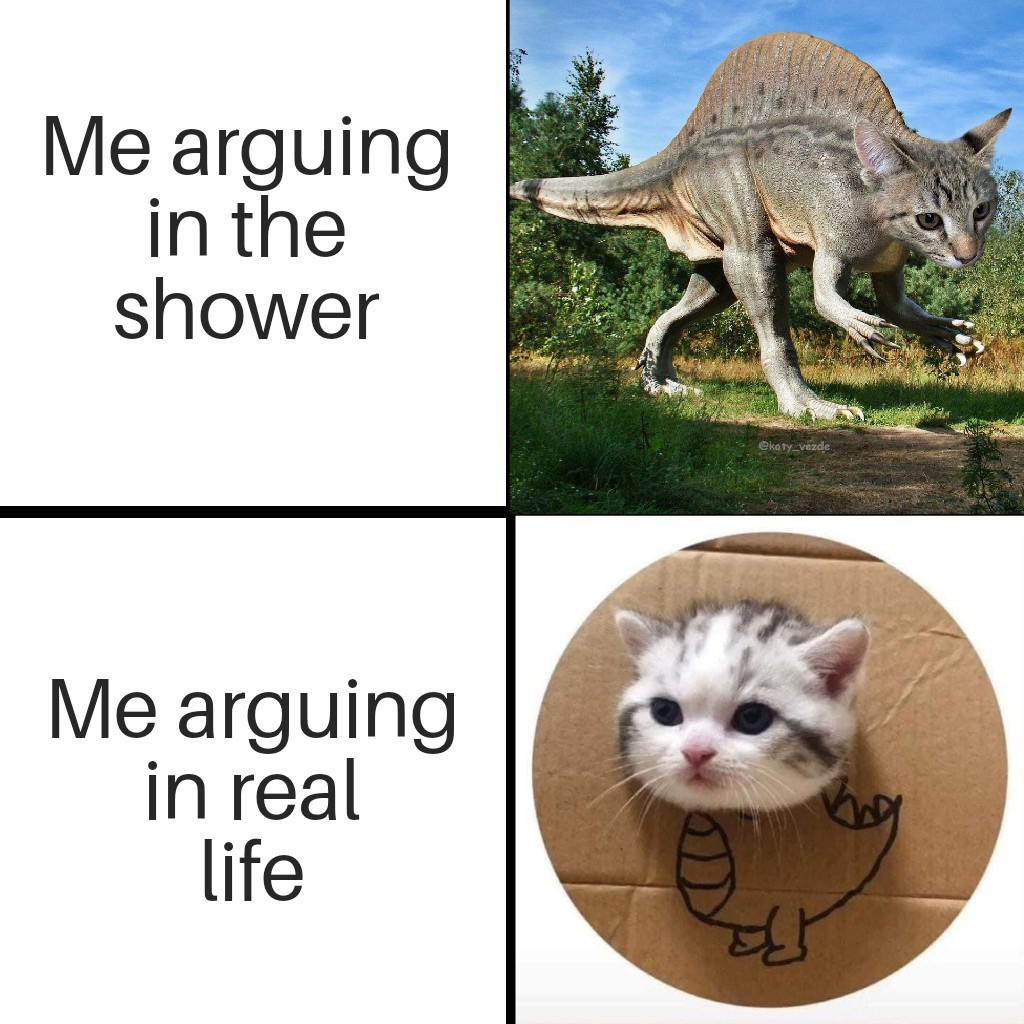 Internet meme - Me arguing in the shower Me arguing in real life