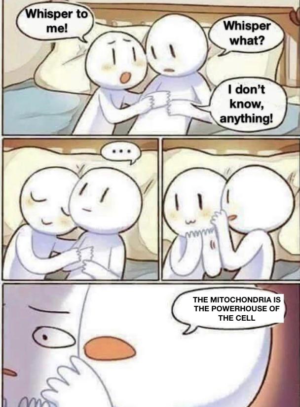 whisper to me meme - Whisper to me! Whisper what? I don't know, anything! The Mitochondria Is The Powerhouse Of The Cell Vo