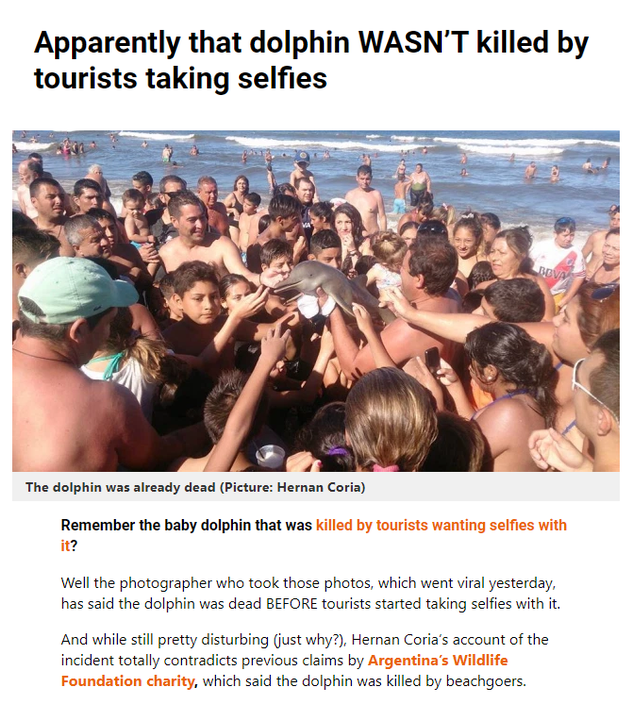 iFunny - Apparently that dolphin Wasn'T killed by tourists taking selfies The dolphin was already dead Picture Hernan Coria Remember the baby dolphin that was killed by tourists wanting selfies with it? Well the photographer who took those photos, which w