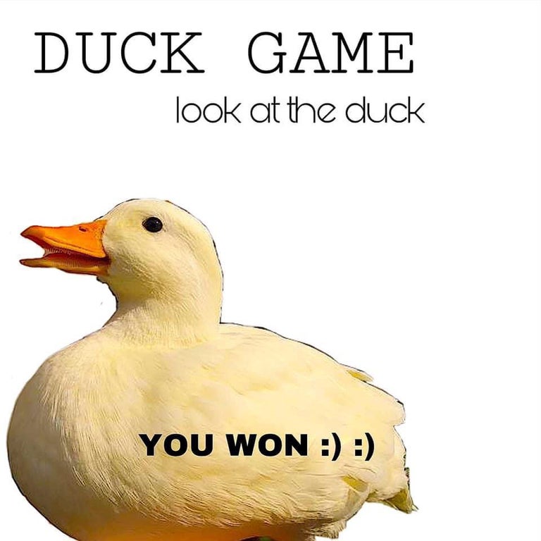beak - Duck Game look at the duck You Won