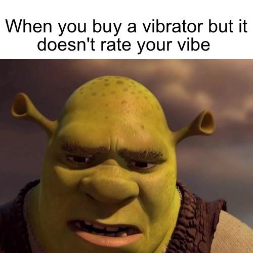 photo caption - When you buy a vibrator but it doesn't rate your vibe