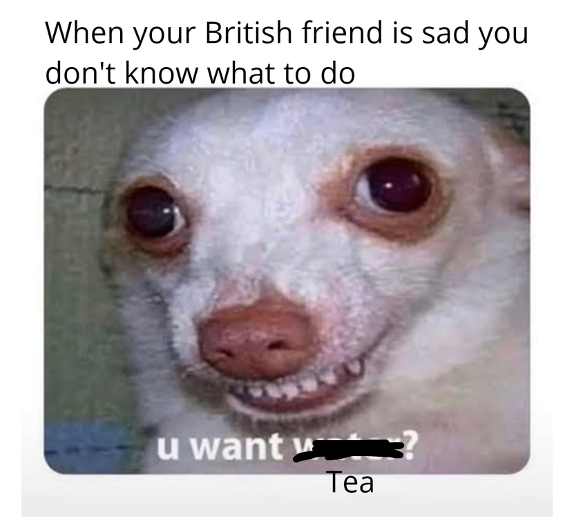 funny memes - When your British friend is sad you don't know what to do u wantv Tea
