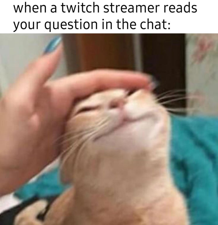 wholesome encouraging meme - when a twitch streamer reads your question in the chat
