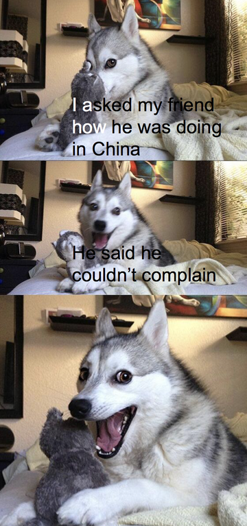 pun husky meme - I asked my friend how he was doing in China He said he couldn't complain