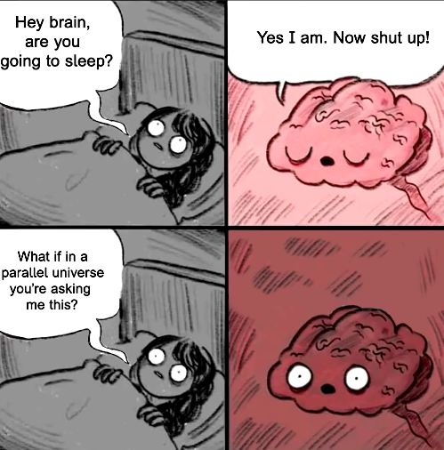 parallel universe meme - Hey brain, are you going to sleep? Yes I am. Now shut up! What if in a parallel universe you're asking me this?