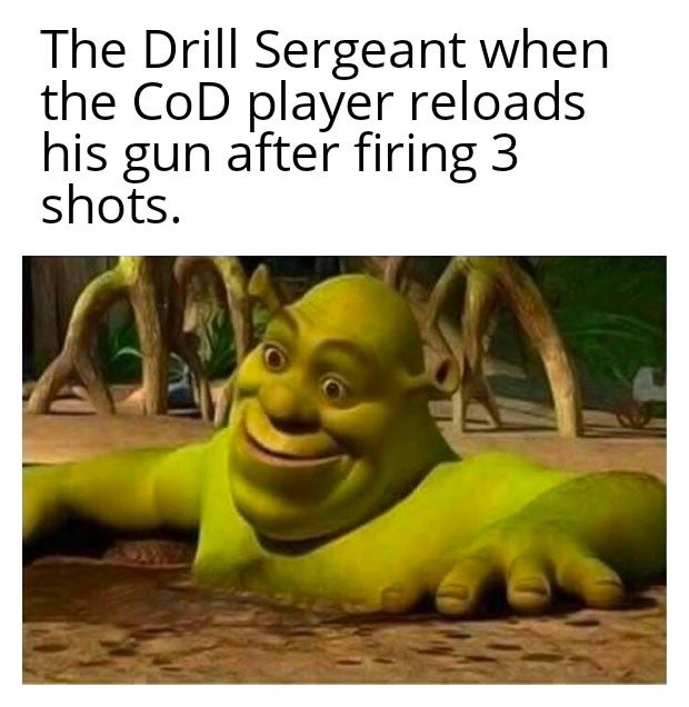 shrek memes - The Drill Sergeant when the Cod player reloads his gun after firing 3 shots.