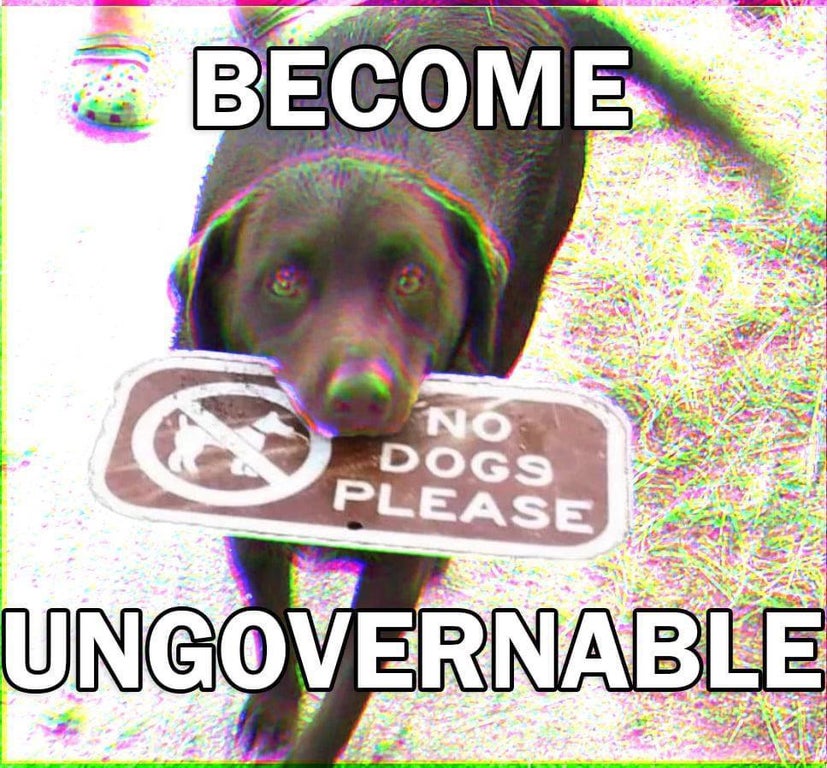 dog - Become No Dogs Please Ungovernable