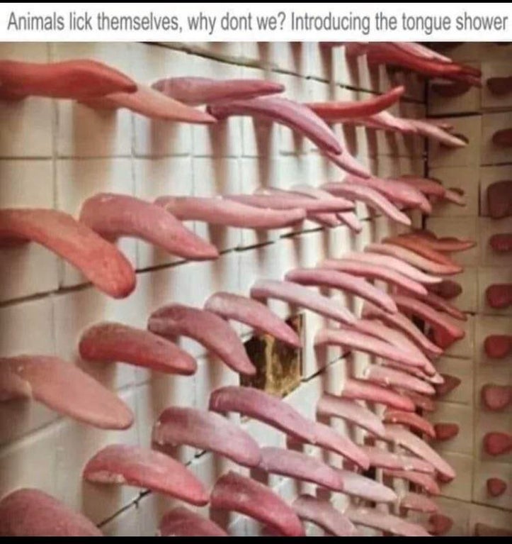 cringeworthy pics - flesh - Animals lick themselves, why dont we? Introducing the tongue shower