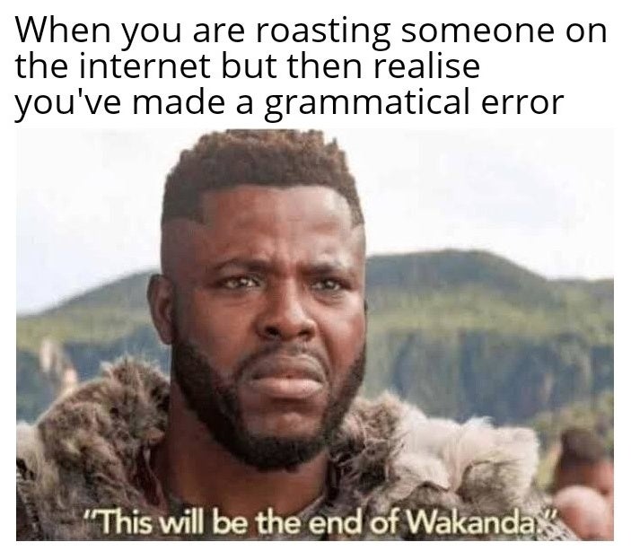 2019 meme compilation - When you are roasting someone on the internet but then realise you've made a grammatical error "This will be the end of Wakanda."