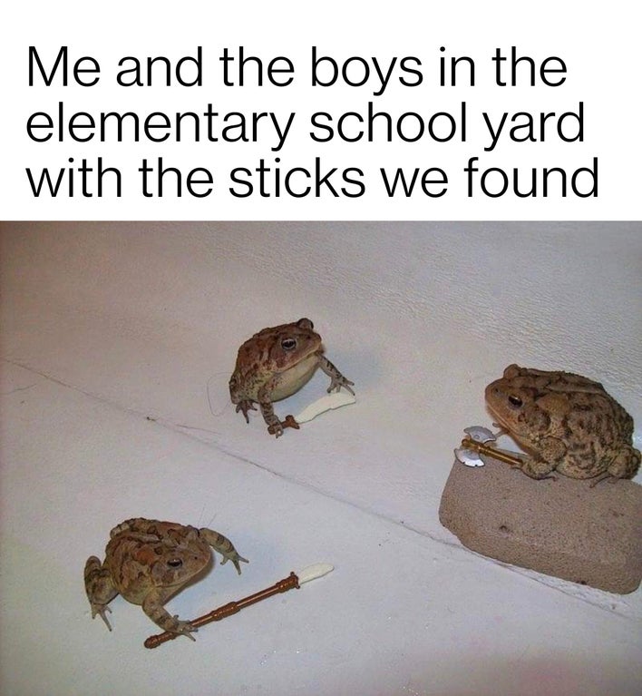 battle toads - Me and the boys in the elementary school yard with the sticks we found